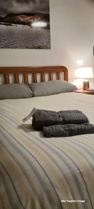 Apartamento Turistico Zaragoza Bagian luar foto