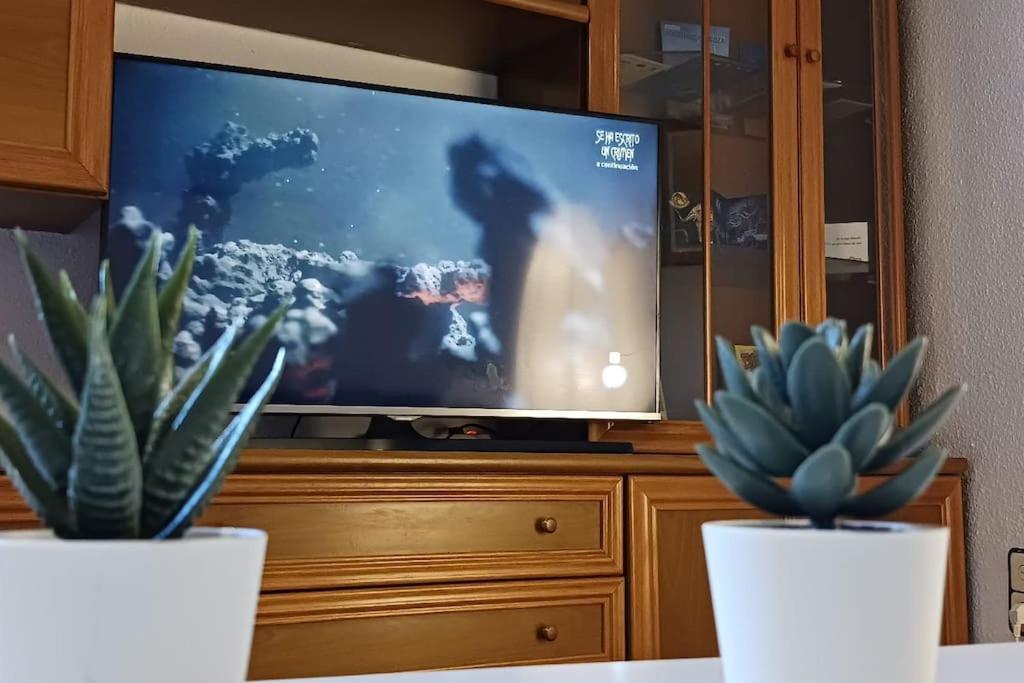 Apartamento Turistico Zaragoza Bagian luar foto